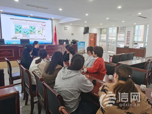 網(wǎng)絡技術服務 賦能未來生活的核心引擎